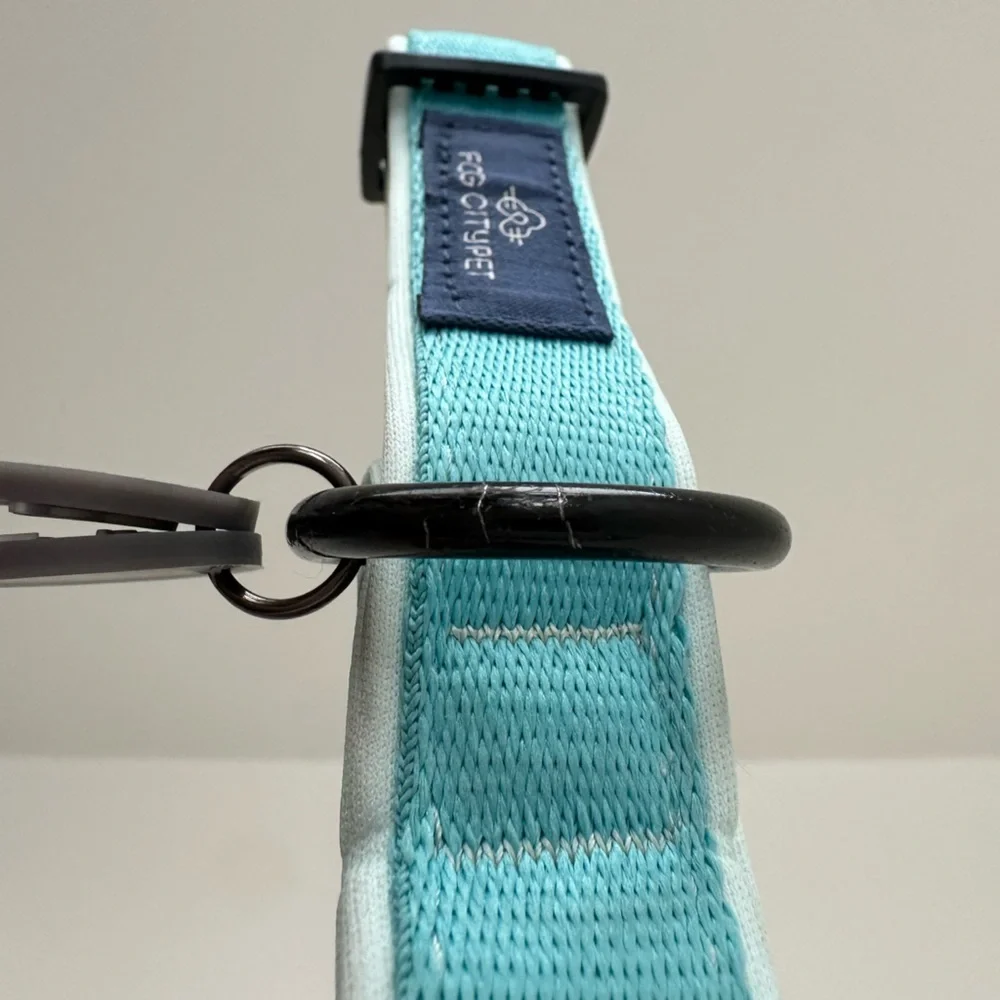 Fog City Pet Light Blue Daily Wear Dog Collar